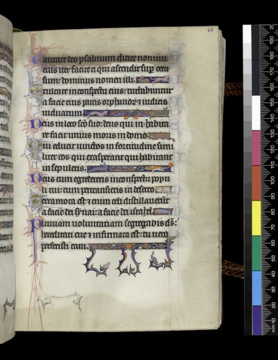MS 300 f.68r, foglio dal Salterio e Ore di Isabella di Francia, Parigi, c.1265-70 da French School