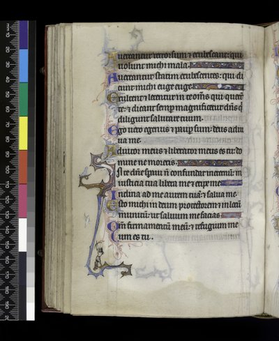 MS 300 f.73v, dal Salterio e Ore di Isabella di Francia, Parigi, c.1265-70 da French School