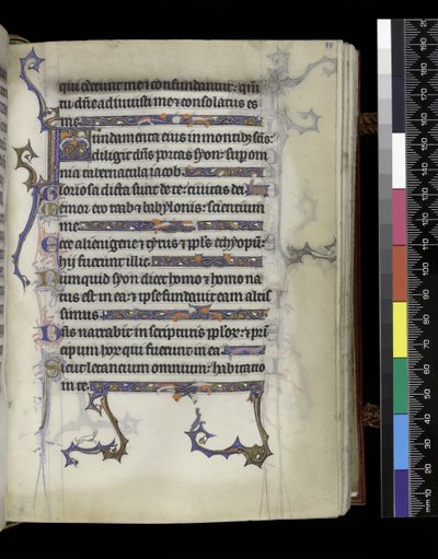 MS 300 f.95r, foglio dal Salterio e Ore di Isabella di Francia, Parigi, c.1265-70 da French School