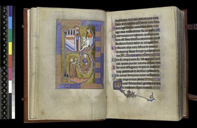MS 300 f.XIII-1r, dal Salterio e Ore di Isabella di Francia, Parigi, c.1265-70 da French School