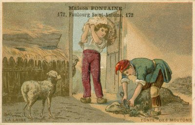 Carta commerciale Maison Fontaine, tosatura delle pecore da French School