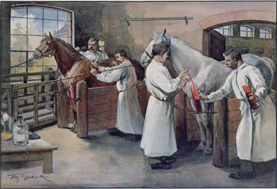 Preparazione del siero antidifterico dal sangue di cavallo, da Les Animaux, c.1900 da French School