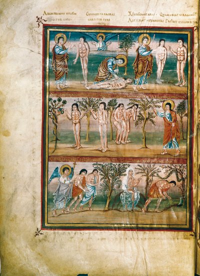 Pagina di manoscritto che rappresenta episodi della vita di Adamo ed Eva: creazione di Adamo ed Eva. Il peccato originale. Espulsione dal Paradiso (miniatura) da French School