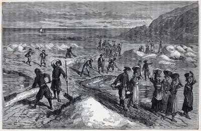 Saline della Bretagna nel XIX secolo - Incisione in "Scienze portate alla gratitudine dei grandi - fisica e chimica" di Alexis Clerc - Fine XIX secolo - Collezione privata da French School