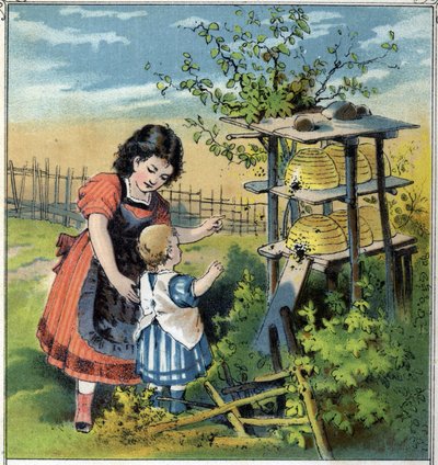 Martha mostra il lavoro delle api nell