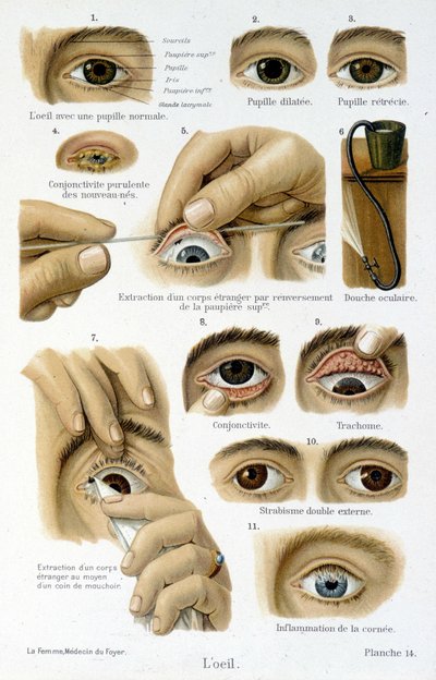Medicina: l