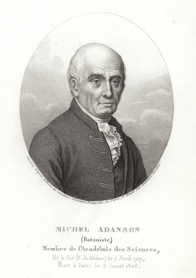 Michel Adanson da French School