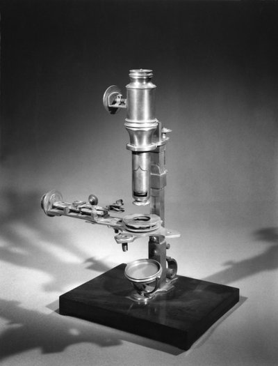 Microscopio da French School