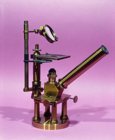 Microscopio appartenente a Louis Pasteur (1811-95) (metallo) da French School