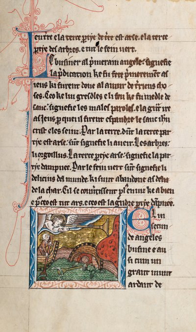 Ms65 f28r, Commentario sull