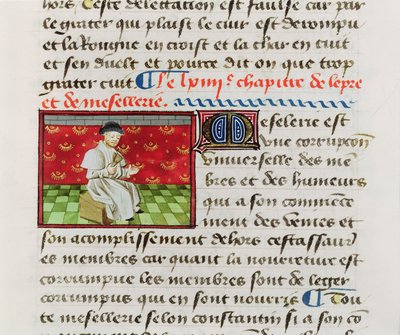 Ms.Fr.22532 Fol.118 Lebbroso, da Le Livre des Proprietez des Choses di Barthelemy l