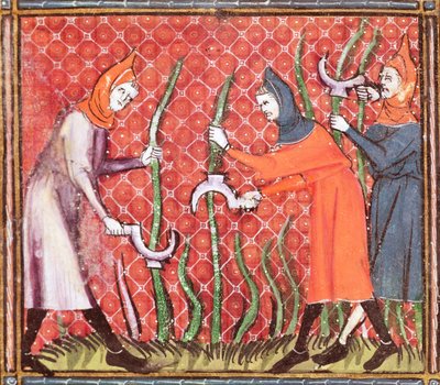 Ms 1044 f.120 Taglio degli alberi, da Ovide Moralise scritto da Chretien Legouais da French School