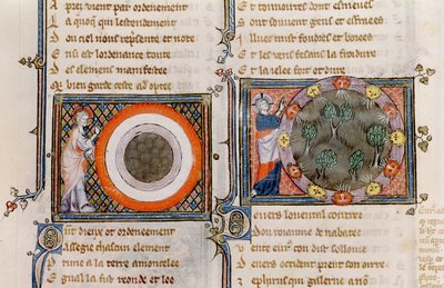 Ms 1044 fol.17v La creazione, da Ovide Moralisé scritto da Chrétien Legouais da French School