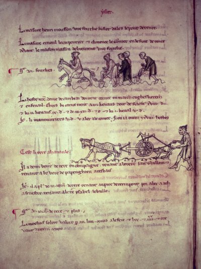 Ms 1175 f.156v Lavori, da Vieil Rentier d