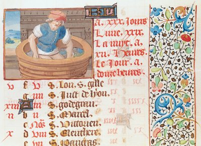 Ms 134 Settembre: Pigiatura dell