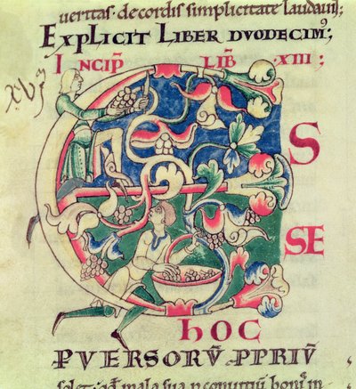 Ms 173 f.32 Iniziale istoriata E raffigurante la vendemmia, da Moralia in Job di Papa Gregorio Magno da French School