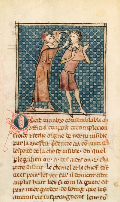 Oftalmologia, illustrazione da La Chirurgie de Maitre Henri de Mondeville da French School