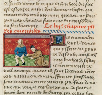 Ms 22532 Esame di un paziente con emorroidi, da Le Livre des Proprietes des choses di Barthelemy l