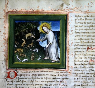 Creazione degli animali, dalla Bibbia dei Grandi Agostiniani da French School