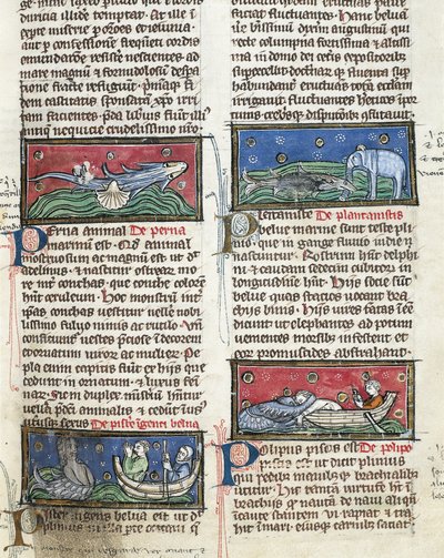 Ms 320 Fol.116 Mostri marini, da 