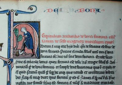 Ms 3458 Iniziale istoriata 
