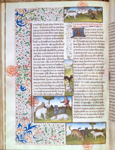 Cani da caccia, dal Livre de la Chasse di Gaston Phebus de Foix (1331-91) da French School