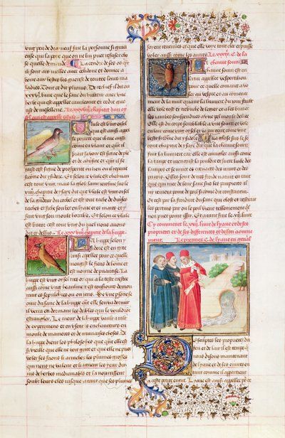 Ms 399 fol.149 Le proprietà della tartaruga, dell