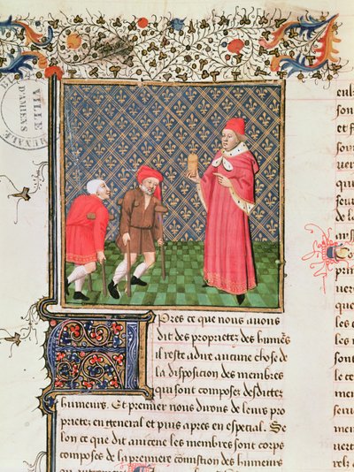 Ms 399 fol.35v Mendicanti, dal Livre des Proprietes des Choses di Barthelemy l
