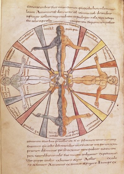 Ms 422 fol.6v Ruota delle stagioni e dei mesi, da De Natura Rerum di Sant