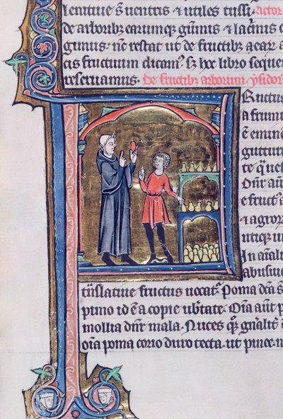 Ms 426 fol.135 Insegnamento del miglior modo di conservare le pere, da Le Miroir de la Nature di Vincent de Beauvais da French School