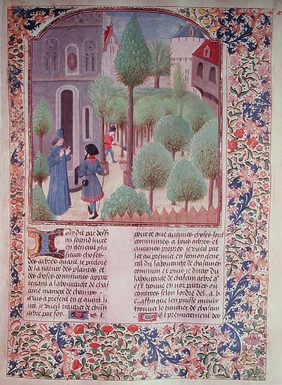 Ms 5064 fol.105r Piantare alberi, dal Livre des Prouffitz Champestres di Pietro de Crescenzi (1230-132021) da French School