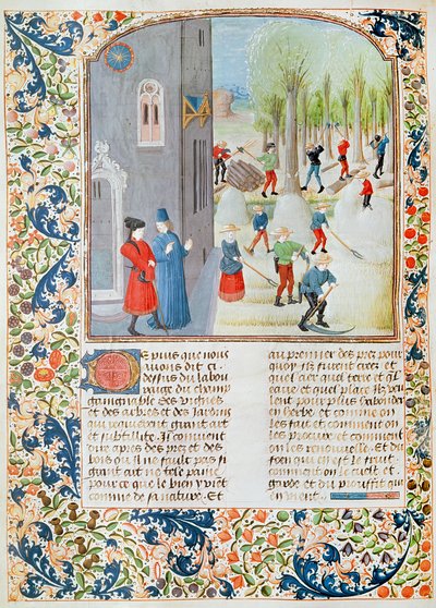 Taglio degli Alberi e Raccolta, da Livre des Prouffitz Champestres di Pietro de Crescenzi (1230-132021) da French School