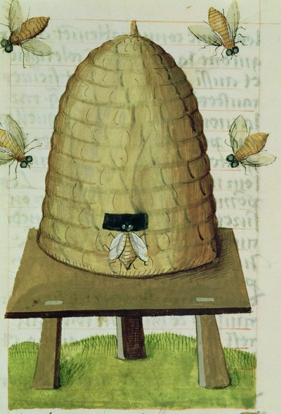 Ms 59 fol.111r Alveare e api, dal Grand Herbier da French School