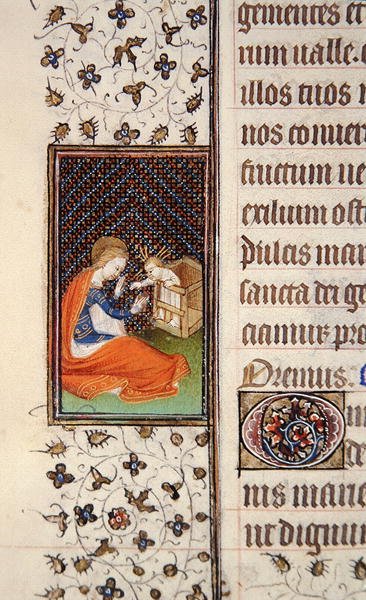Ms 62, f.205v: Vergine e Bambino, (dettaglio) da un Libro d