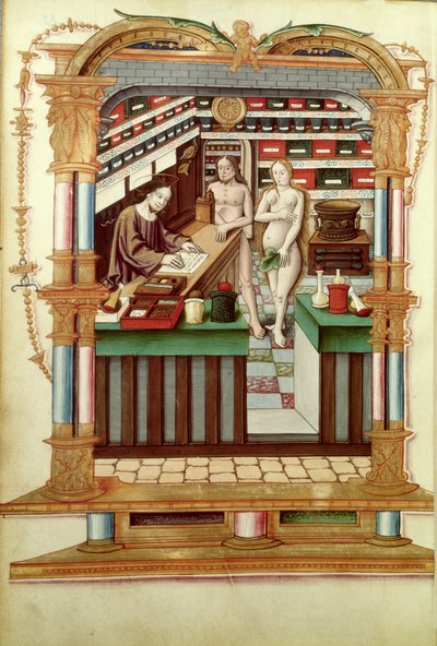 Ms Fr 1537 Cristo il farmacista con Adamo ed Eva, da Chants royaux sur la Conception couronnee du Puy de Rouen da French School