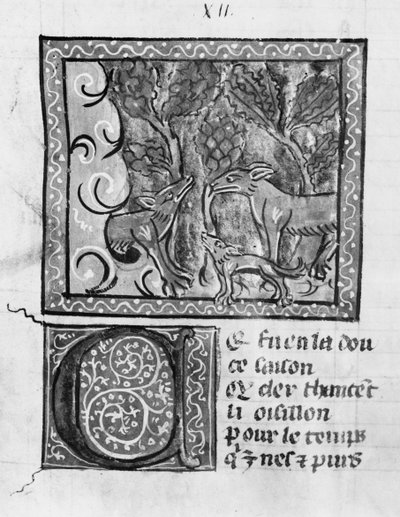 La volpe, il lupo e il cane, da Le Roman de Renart da French School