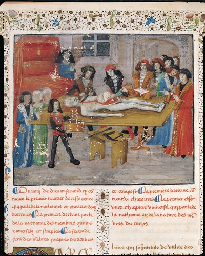 Ms H 184 fol.14v Lezione di dissezione alla Facoltà di Medicina di Montpellier, da 