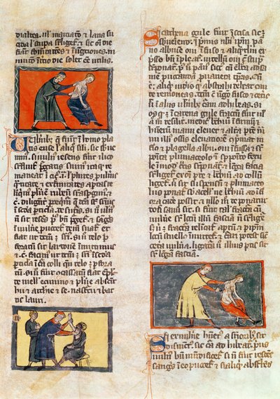 Ms H 89 fol.17r Chirurgia, da un