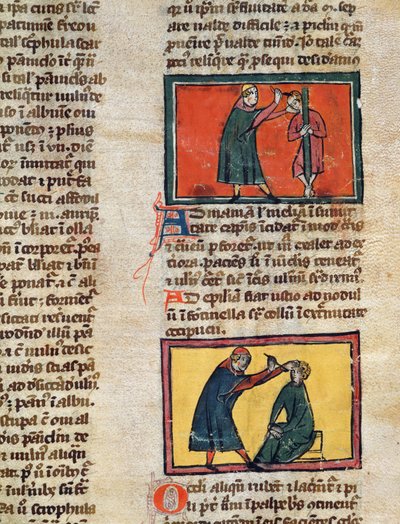Ms H 89 fol.3 Medici che curano i malati, da un