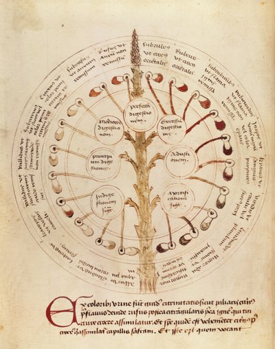 Tabella per l