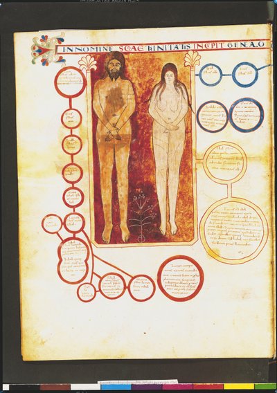 Ms Lat 8878 fol.5v Adamo ed Eva e la genealogia di Cristo, da un Commentario sull