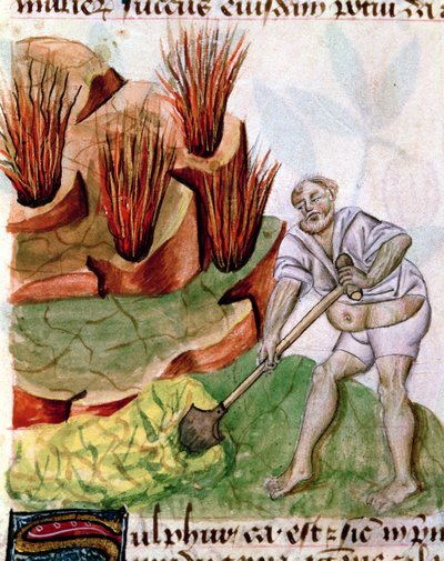 Alla ricerca di zolfo, da Dioscoride De Herbis da French School