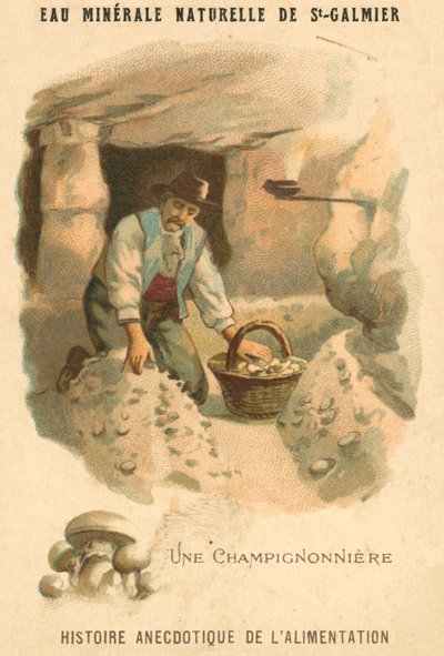 Coltivatore di funghi da French School