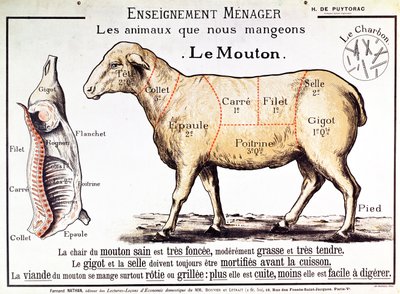 Montone: diagramma che raffigura i diversi tagli di carne da French School