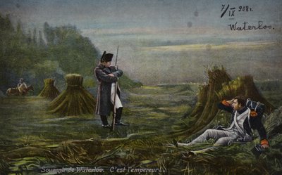 Napoleone a Waterloo (litografia a colori) da French School