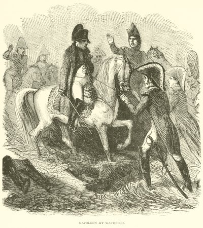 Napoleone a Waterloo (incisione) da French School
