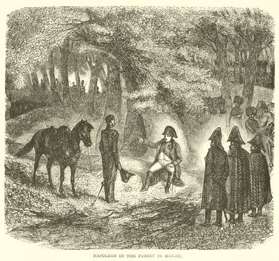 Napoleone nella foresta di Hanau (incisione) da French School