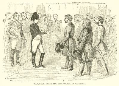 Napoleone riceve la deputazione polacca da French School