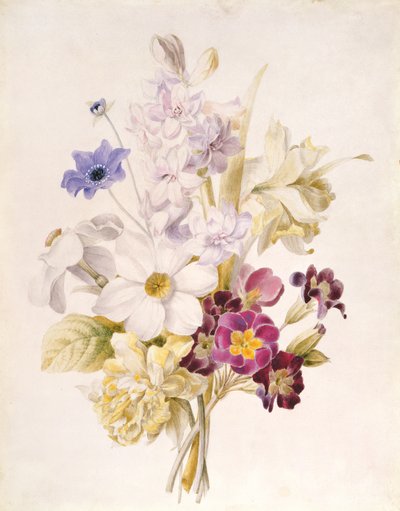 Narciso e altri fiori, 1840 da French School
