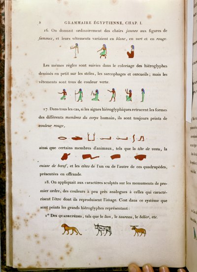 Note sulla colorazione di alcuni geroglifici, dalla Grammaire Egyptienne di Jean Francois Champollion, 1836 da French School
